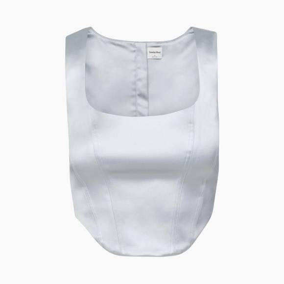 ARITZIA SUNDAY BEST Shiloh Satin Bustier - Picture 4 of 13